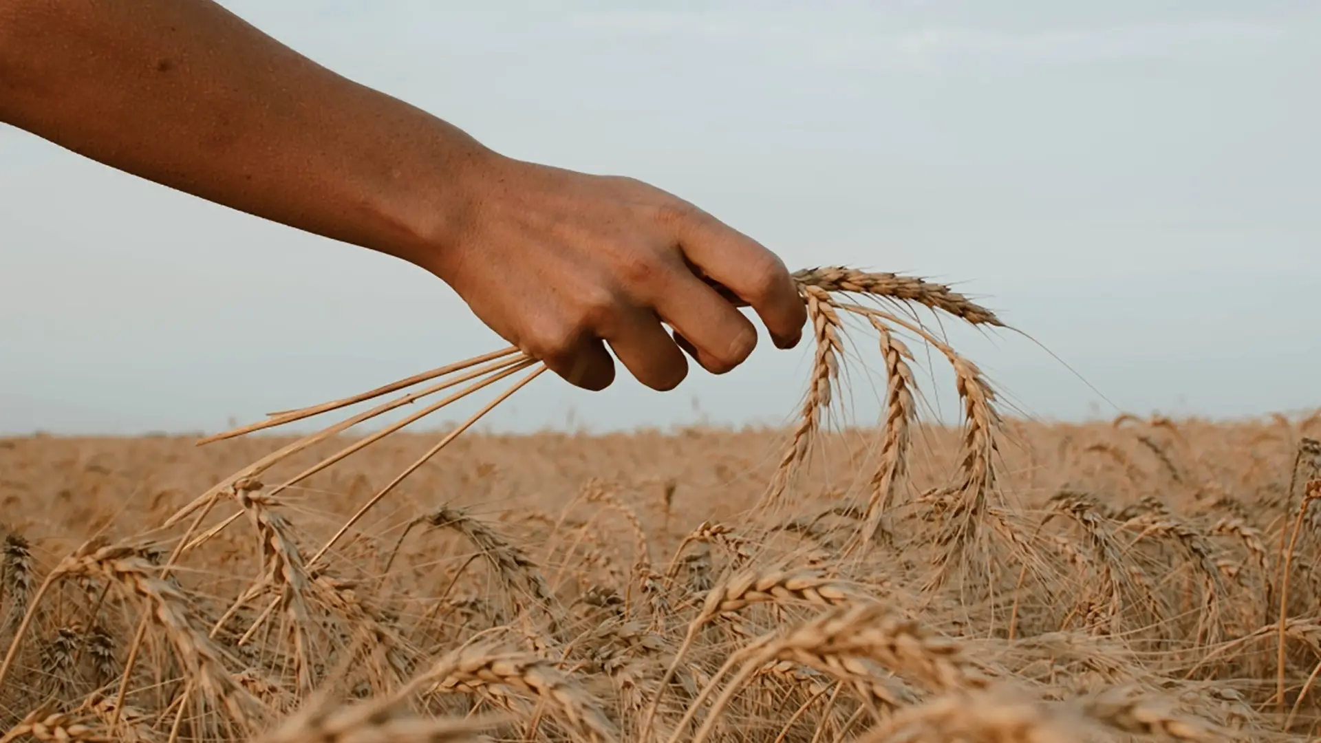 O dízimo é a prática de oferecer a Deus um décimo da renda ou propriedade de uma pessoa. Esse costume remonta a tempos muito antigos e era comum entre diversas nações da antiguidade.